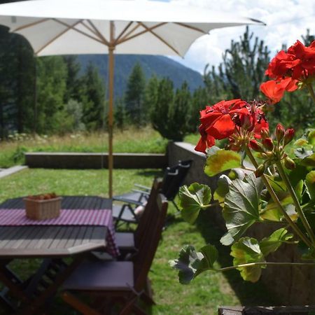 Chalet Do Costa Pozza di Fassa Luaran gambar